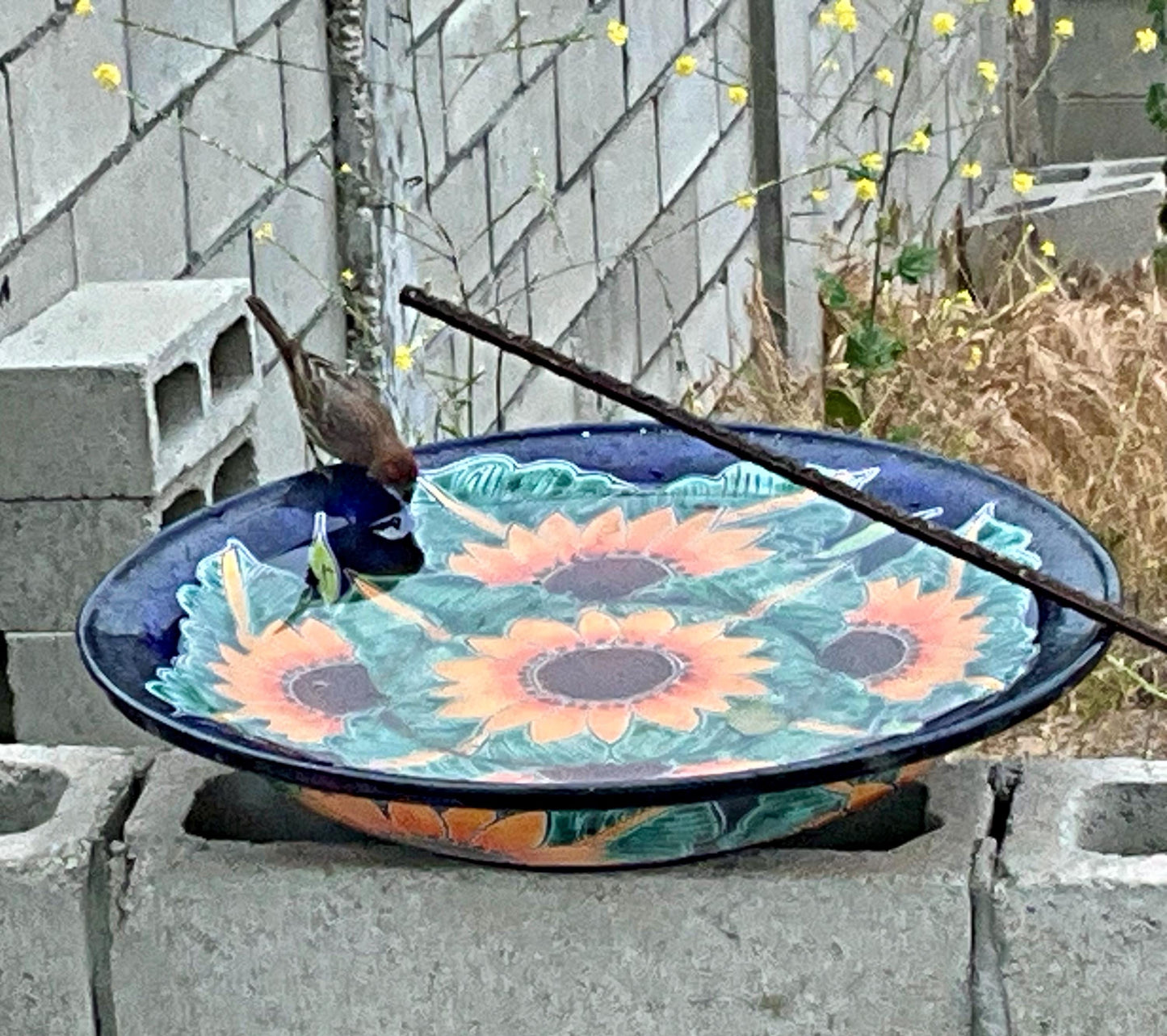 El bebedero para pájaros más grande de cerámica mexicana de Talavera