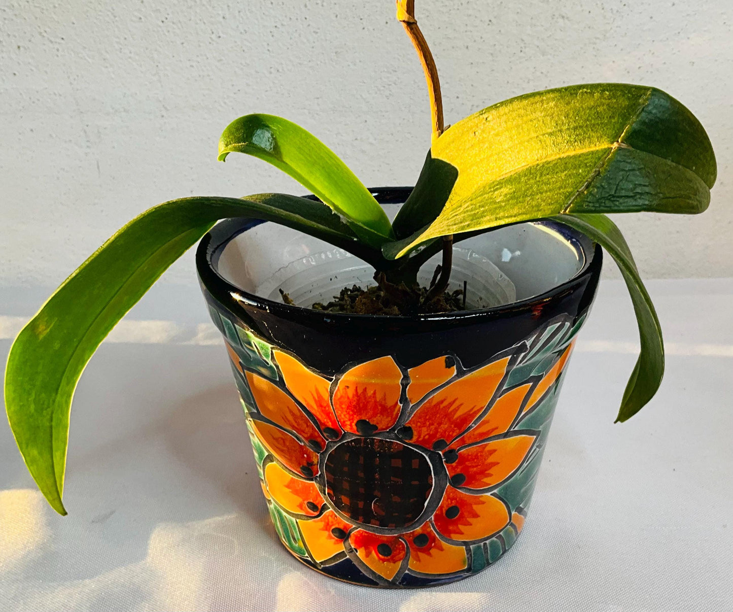 Talavera flower pots