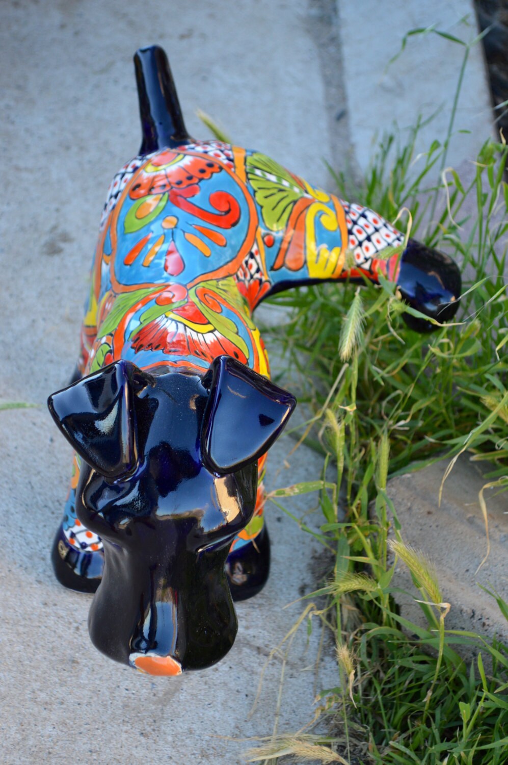Talavera Schnauzer Dog