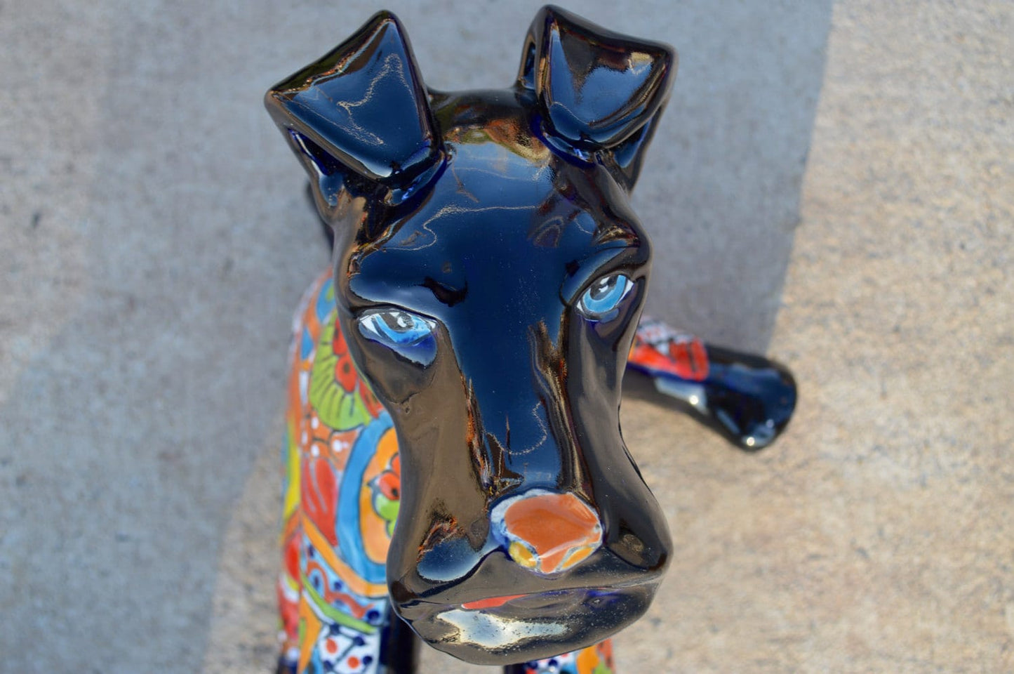 Talavera Schnauzer Dog
