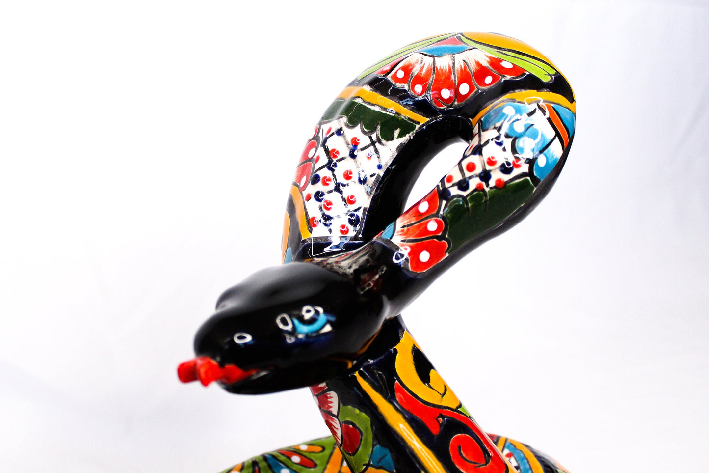 Rattlesnake viper in Talavera