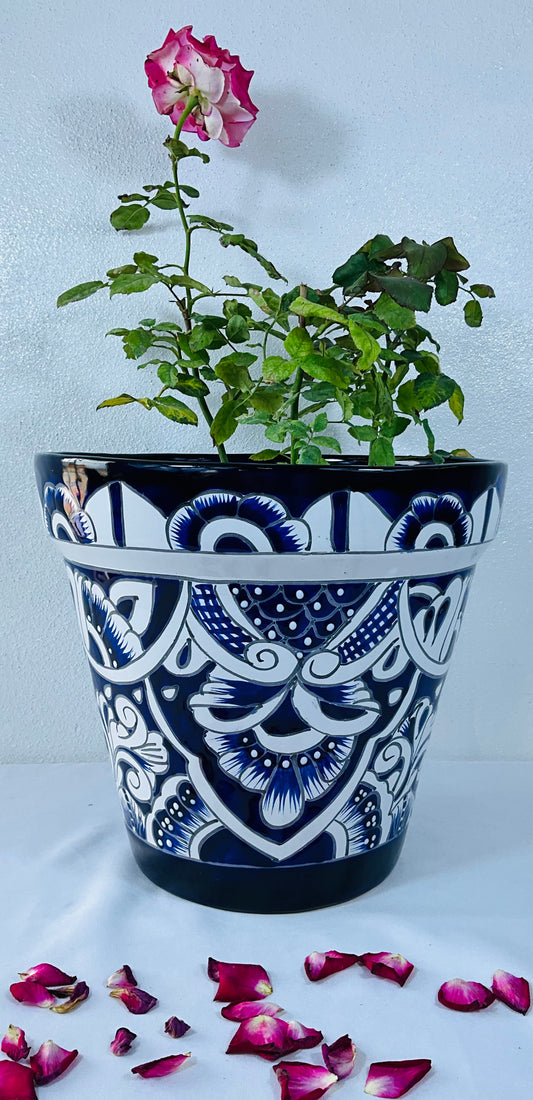 Colorful Vaso pot