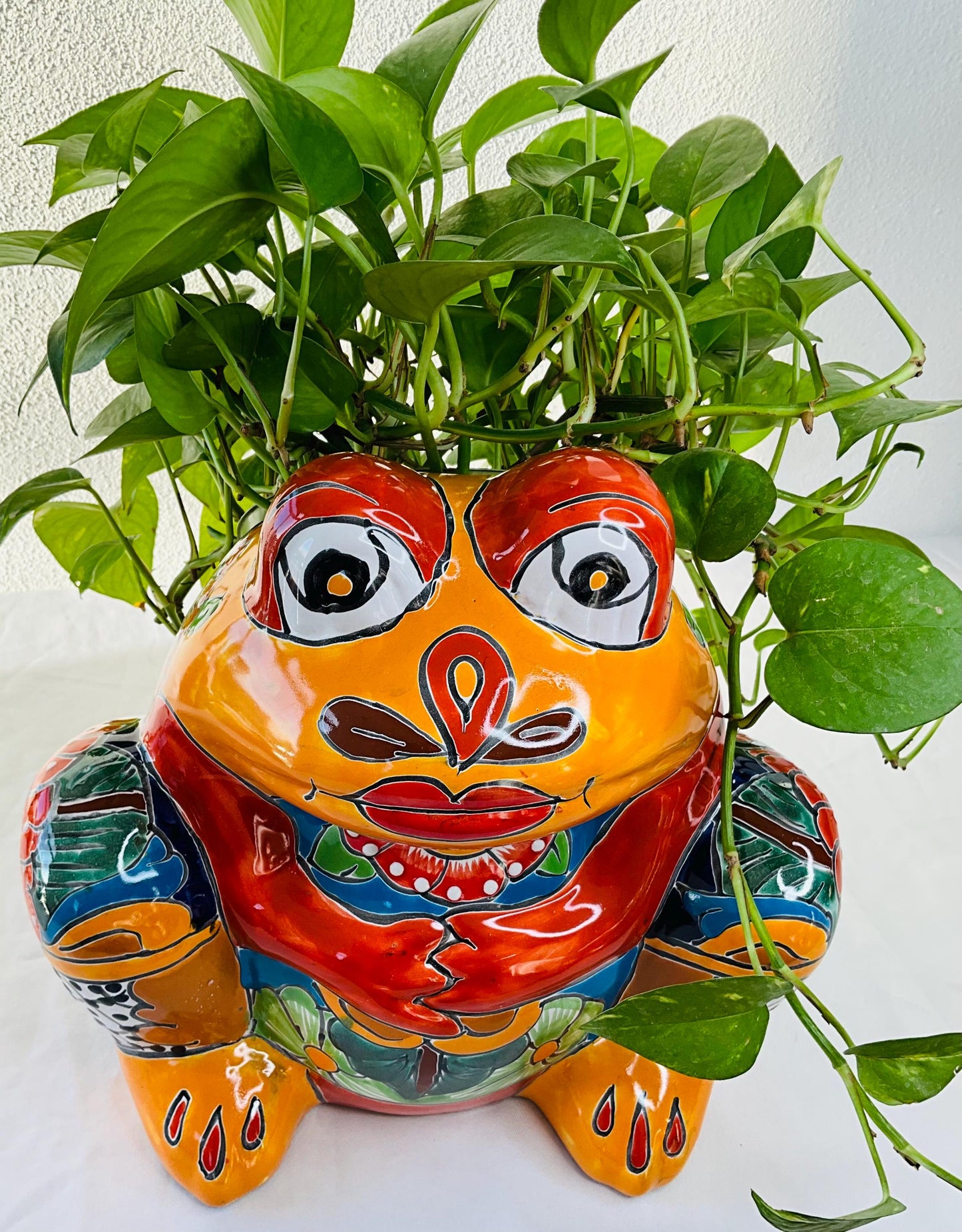 Maceta talavera rana