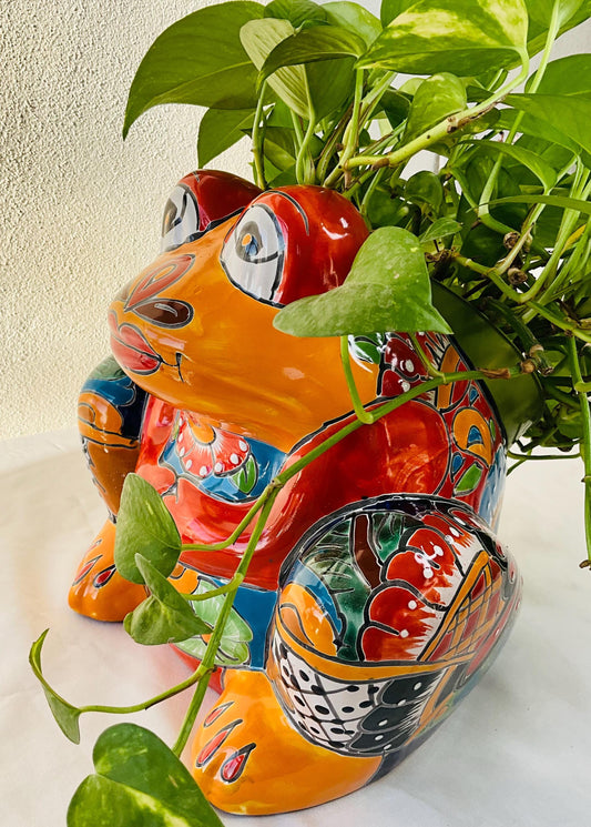 Maceta talavera rana
