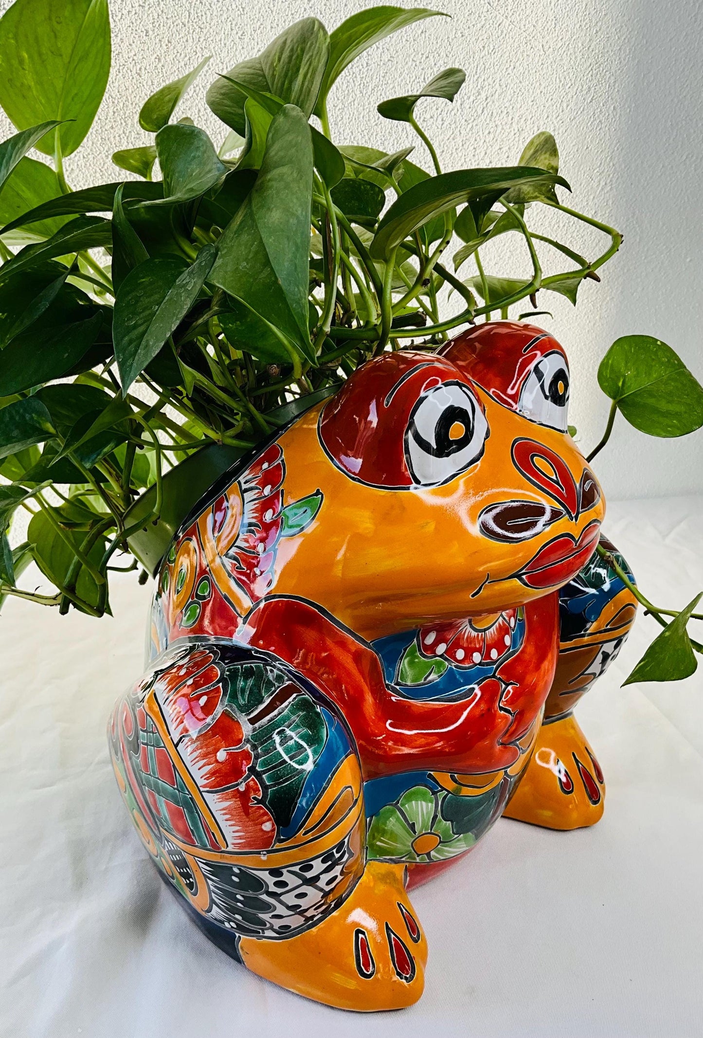 Maceta talavera rana