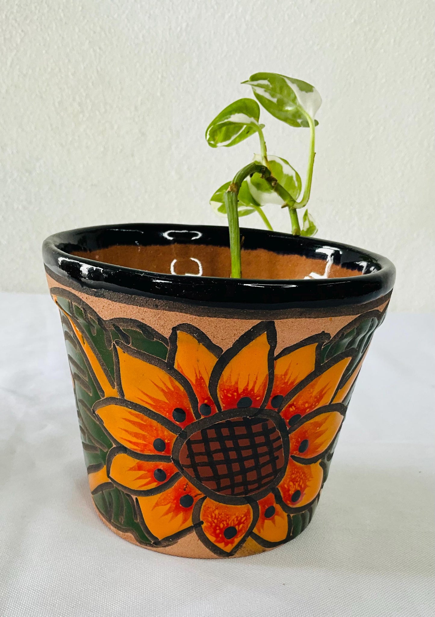 Talavera flower pots