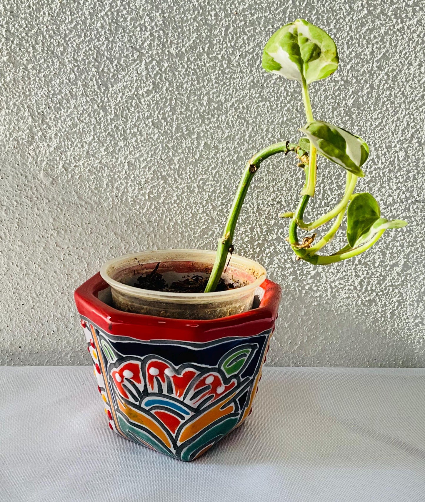 Talavera  small  pots