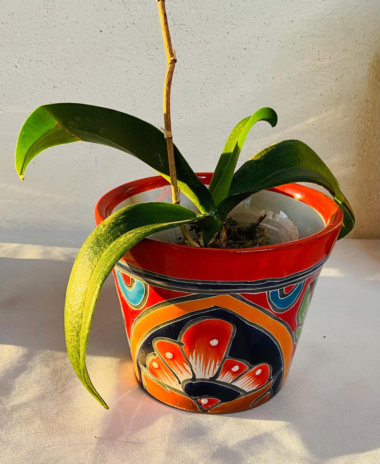 Talavera flower pots