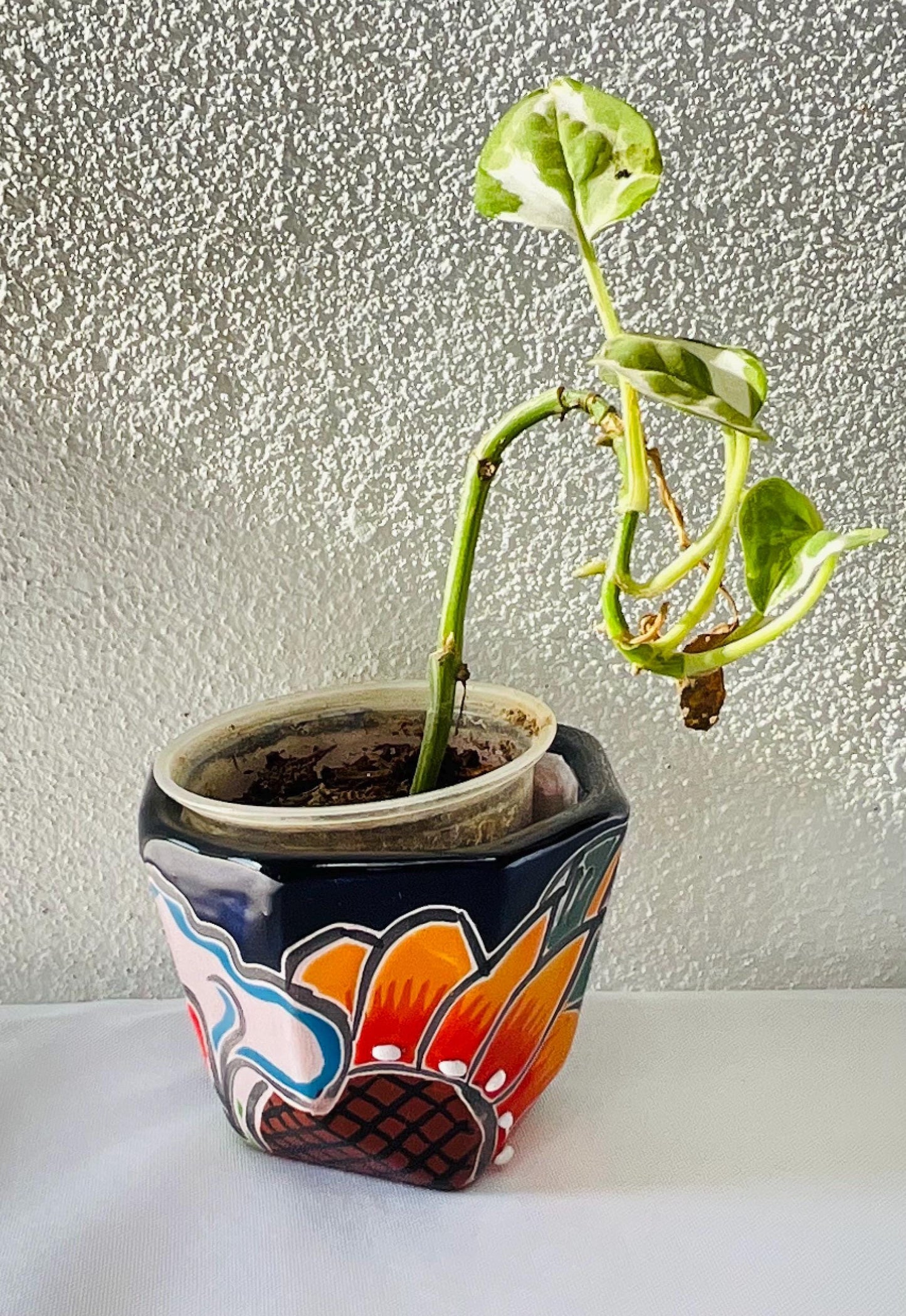 Talavera  small  pots