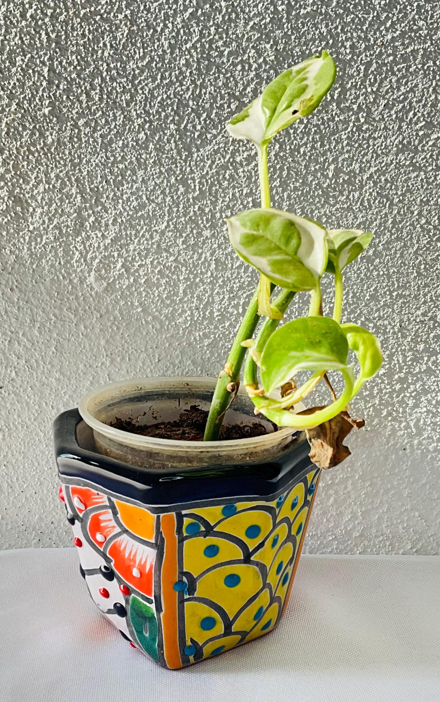 Talavera  small  pots