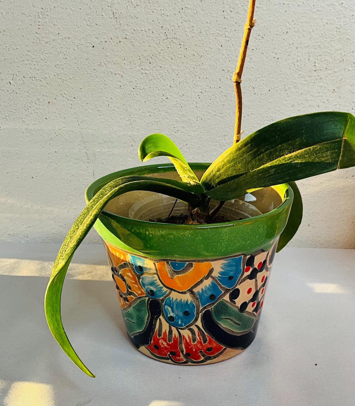 Talavera flower pots