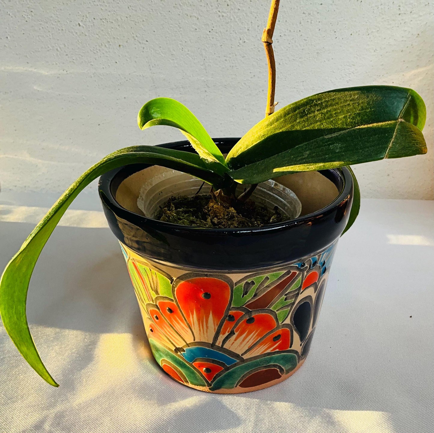 Talavera flower pots