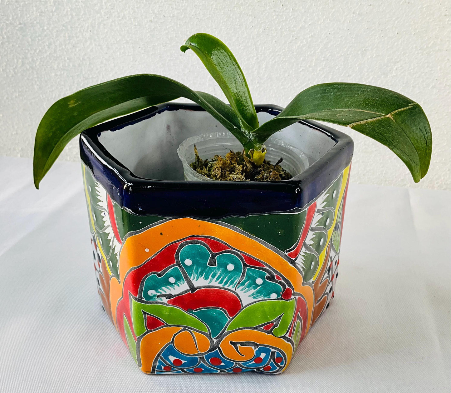 Talavera flower pots
