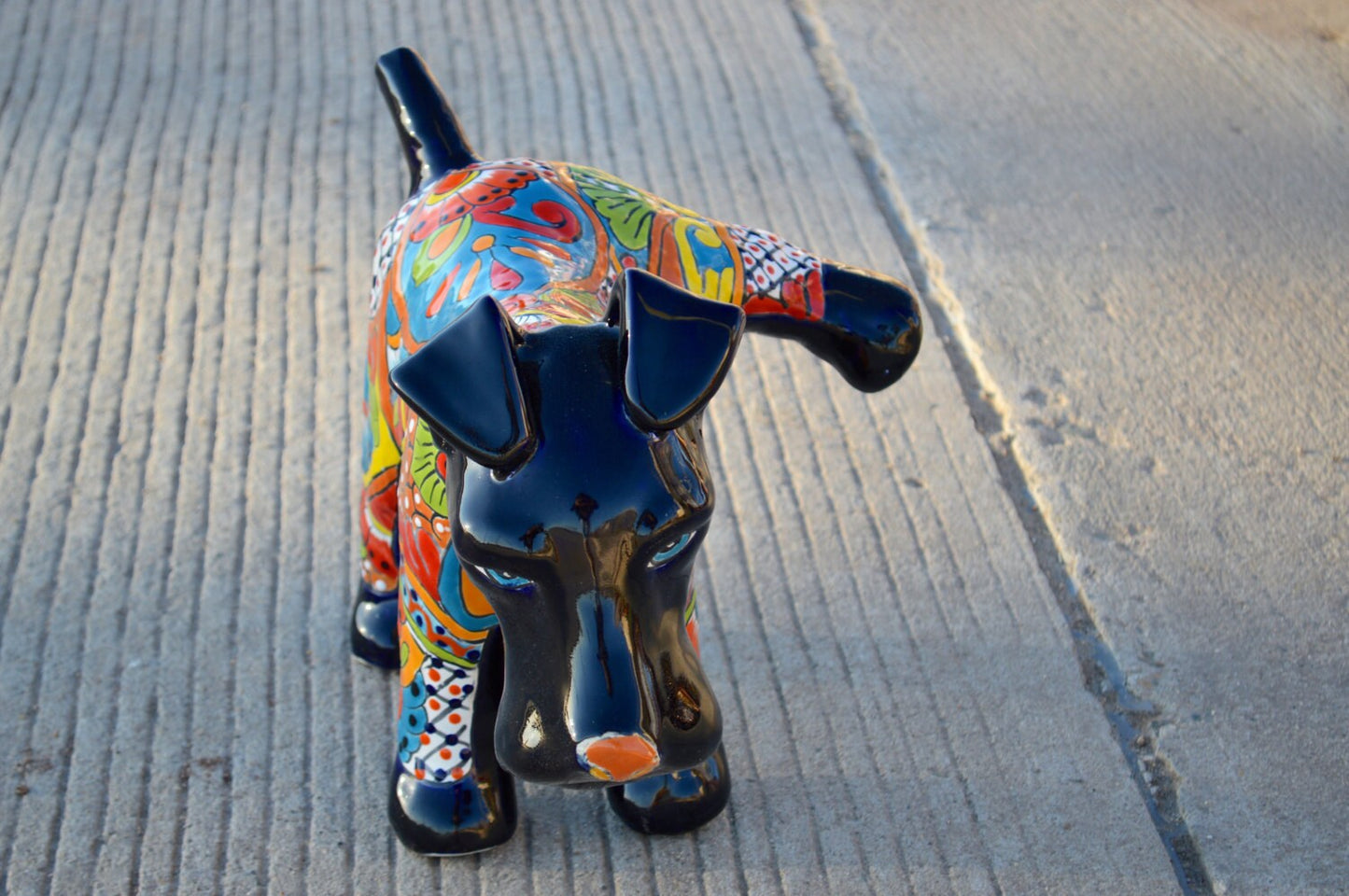 Talavera Schnauzer Dog