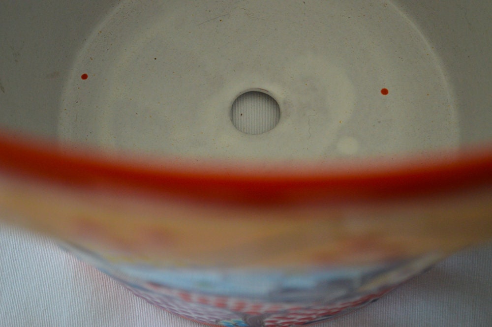 Colorful Medium Vaso Talavera Pot