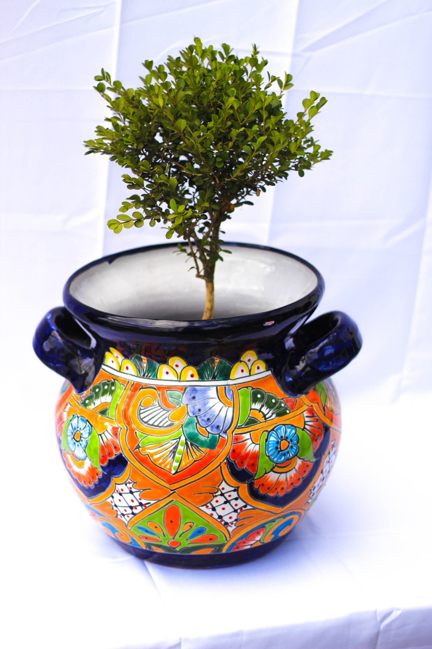 Michoacana Talavera