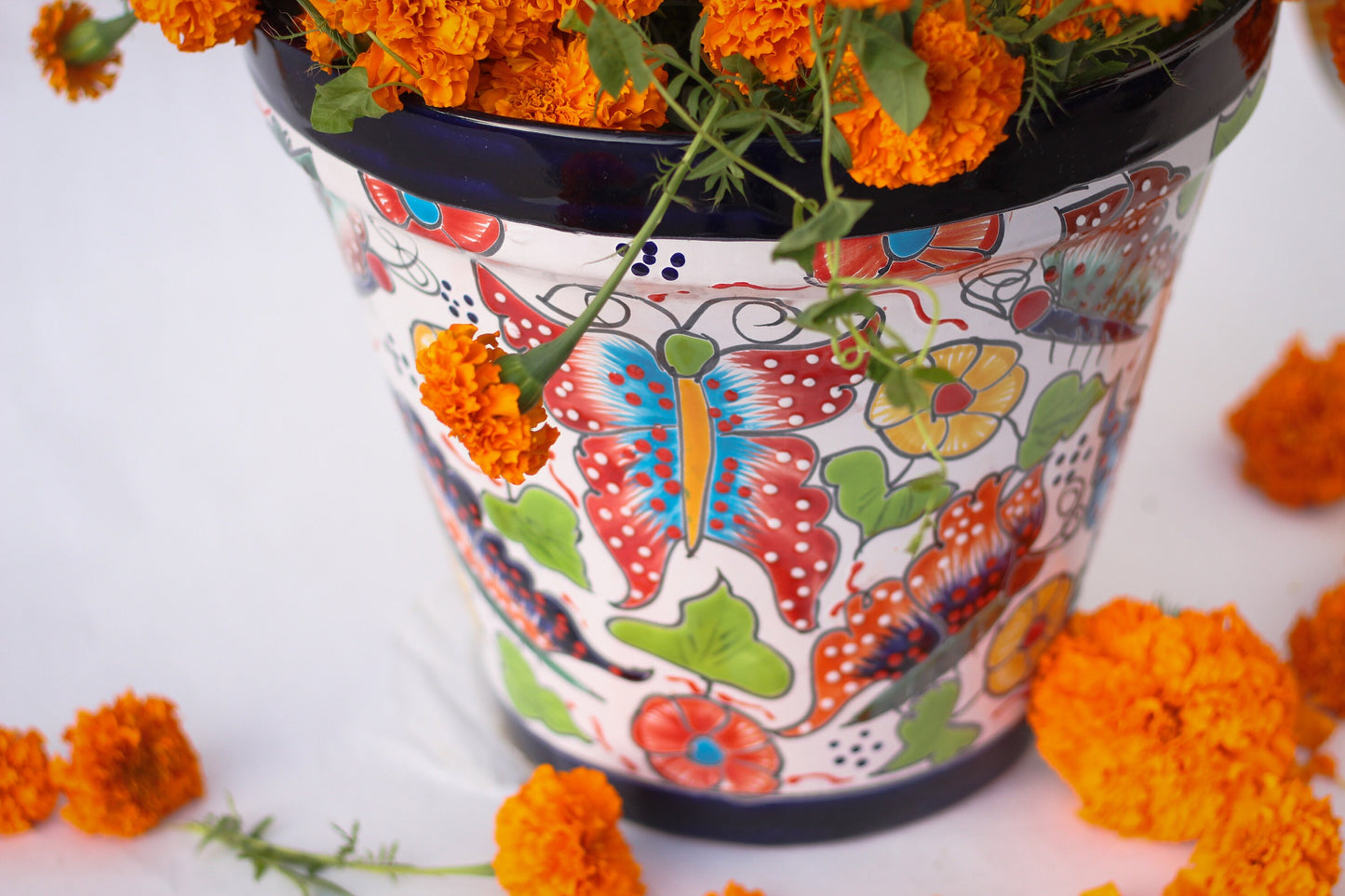 Colorful Vaso Talavera Pot