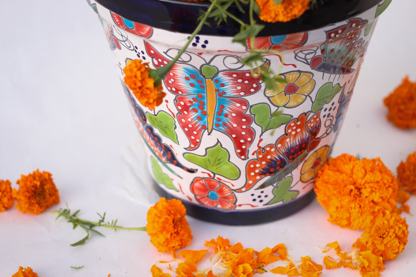 Colorful Vaso Talavera Pot