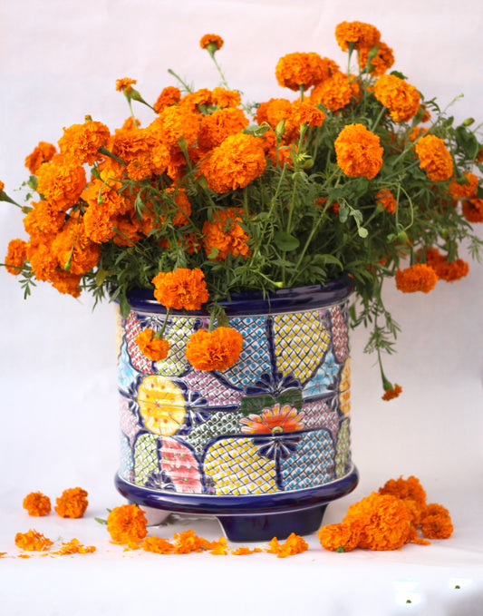 Colorful Vaso Talavera Pot
